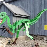 Ace of Diamonds Mine & Campground ico