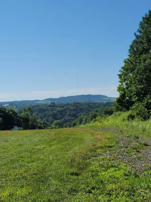 Ace of Diamonds Mine & Campground Picture 4