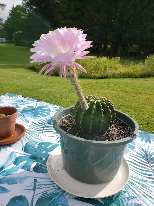 Brookview RV Park & Camping Picture 1