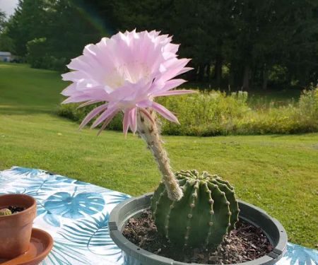 Brookview RV Park & Camping