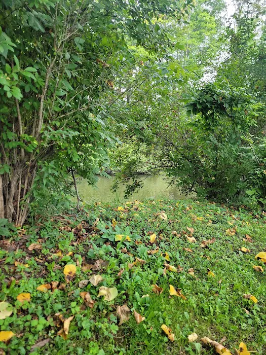 Brookview RV Park & Camping Picture 5