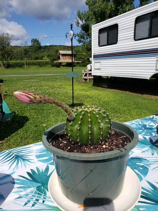 Brookview RV Park & Camping Picture 10