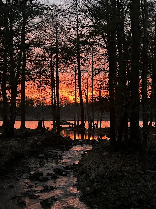 Camp Kazooli Picture 2