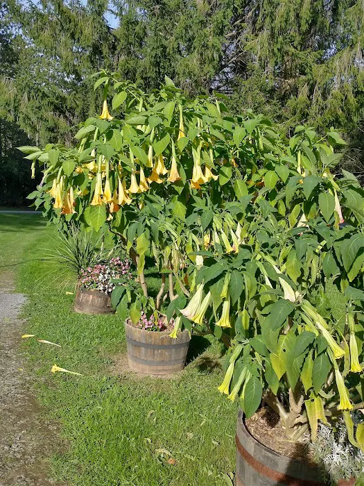 Lebanon Reservoir Campground Picture 9