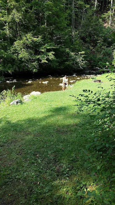 Cedar Valley Campsite Picture 5