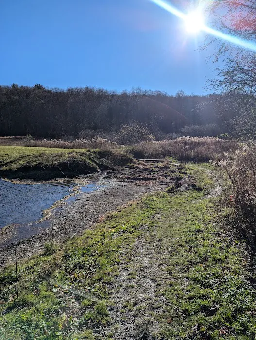 Stoney Pond Campground Picture 8