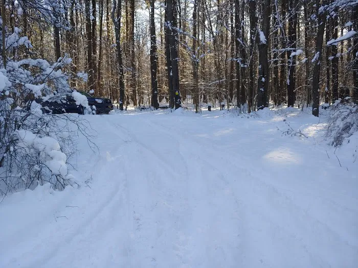 Stoney Pond Campground Picture 5
