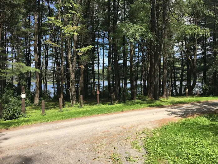 Stoney Pond Campground Picture 4