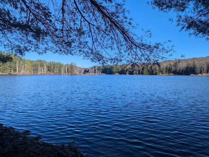 Stoney Pond Campground Picture 10