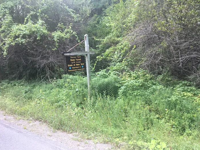 Stoney Pond Campground Picture 3