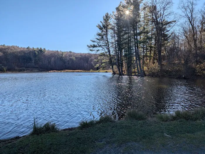 Stoney Pond Campground Picture 9