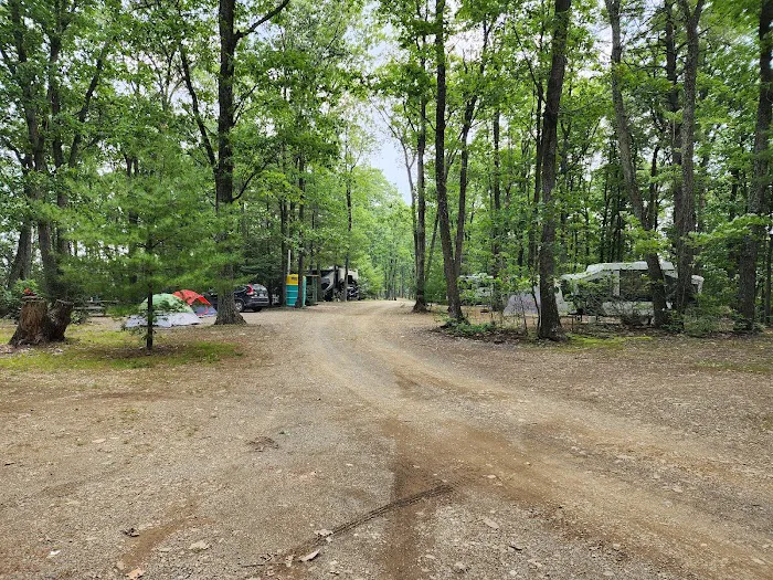 Mossy Point Campground Picture 1