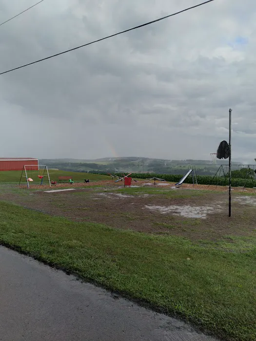 Camping at Deihls Picture 8