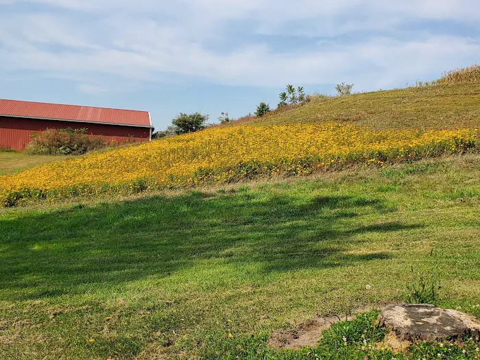 Camping at Deihls Picture 6