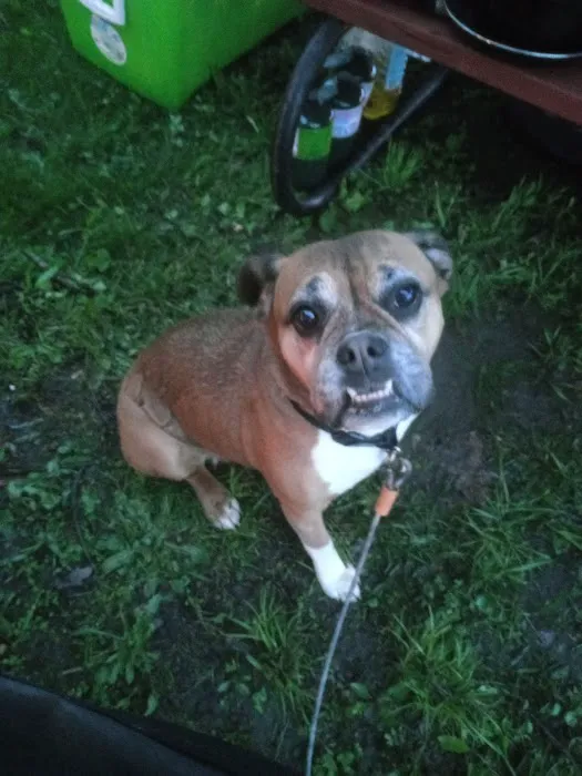 Camping at Deihls Picture 7