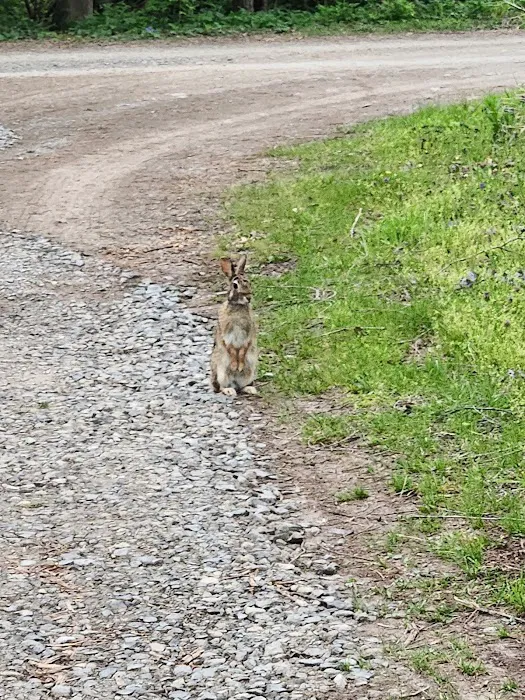 Wray's Riverfront Campground Picture 3