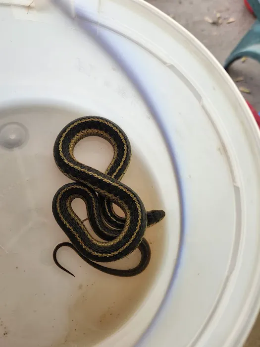 Wray's Riverfront Campground Picture 2