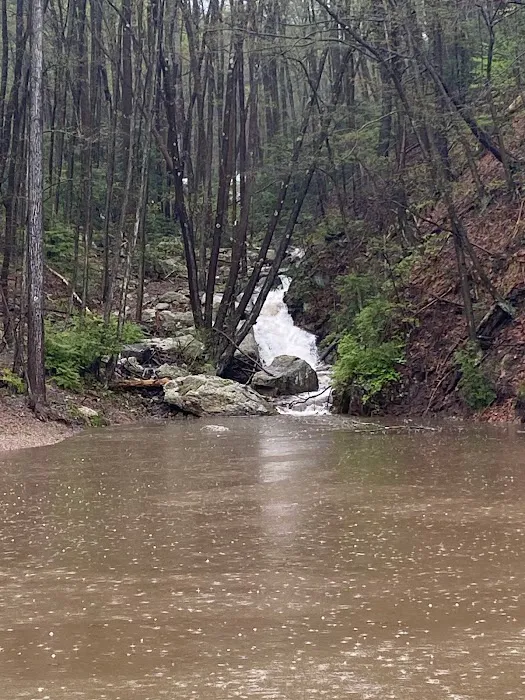 Camp-A-While Picture 9