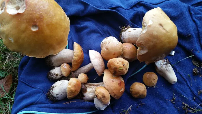 Echo Valley Campground Picture 5