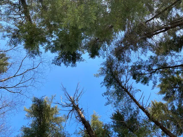 Grassmere Park Campground Picture 8