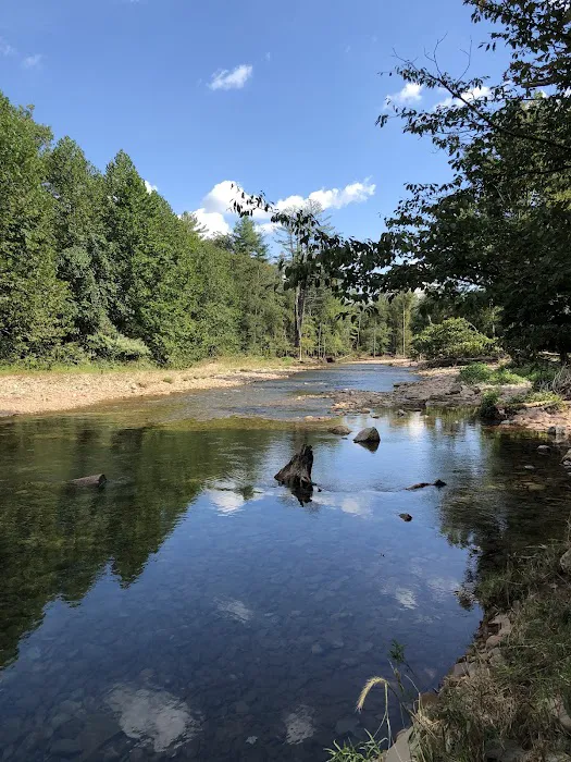 Grassmere Park Campground Picture 6