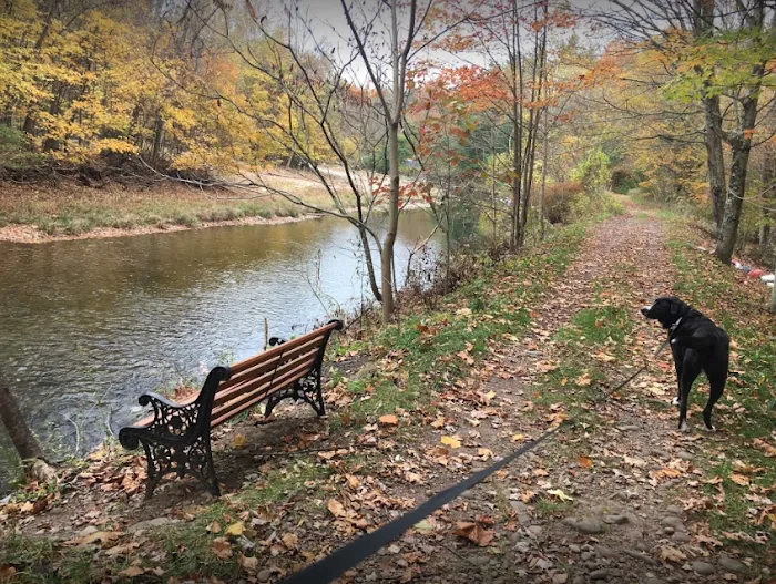 Grassmere Park Campground Picture 10