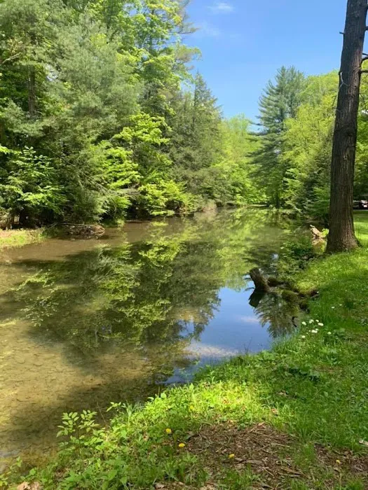 Grassmere Park Campground Picture 5