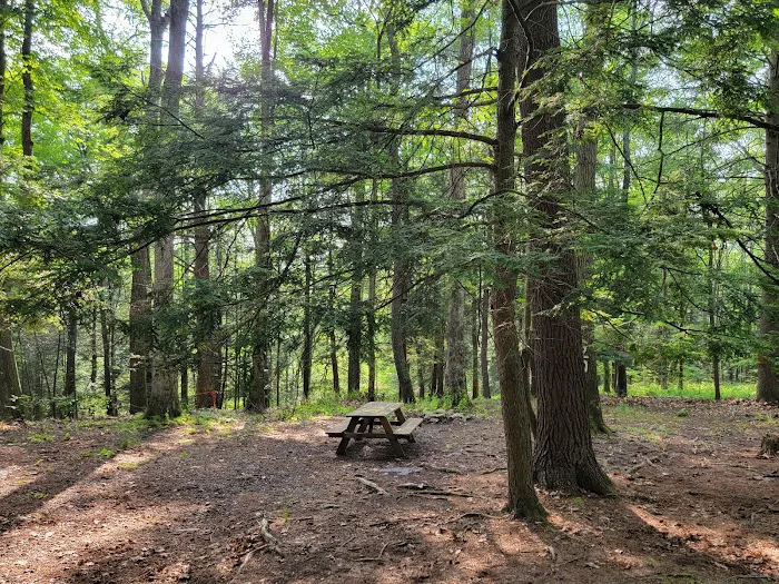 Red Rock Mountain Campground Picture 7