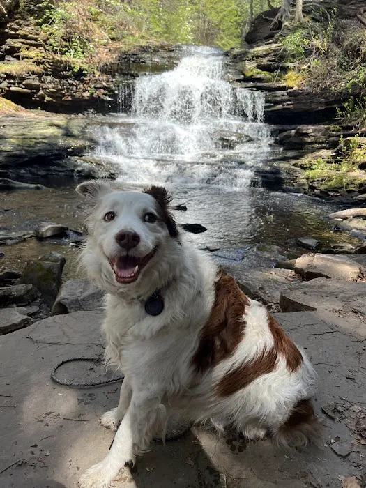 Red Rock Mountain Campground Picture 2