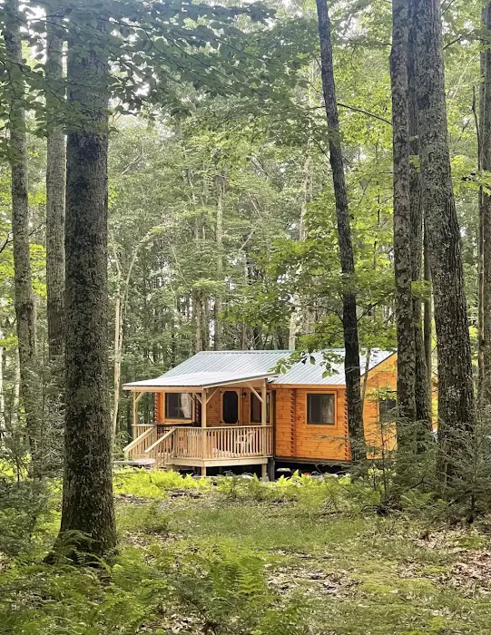 Ricketts Glen Cabin Rentals Picture 9