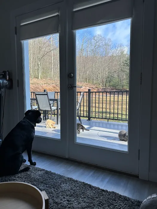 West Creek Campground Picture 4