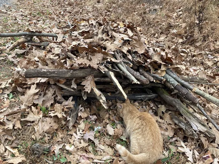 West Creek Campground Picture 6