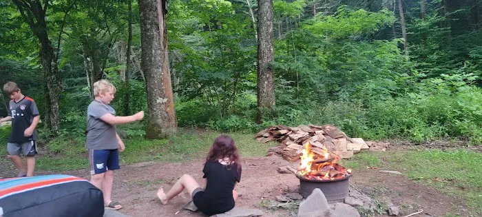 Hemlock Valley Campground Picture 3