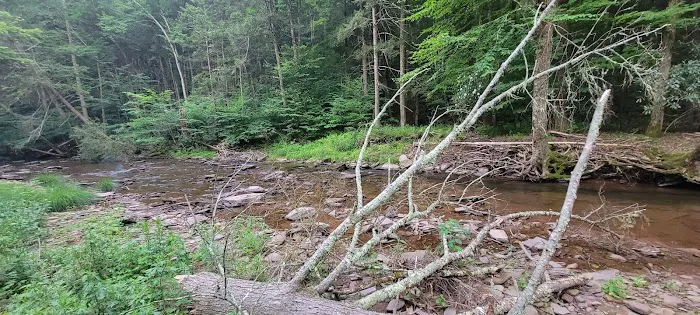 Hemlock Valley Campground Picture 4