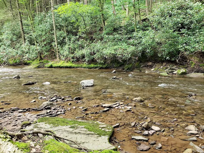 Hemlock Valley Campground Picture 6
