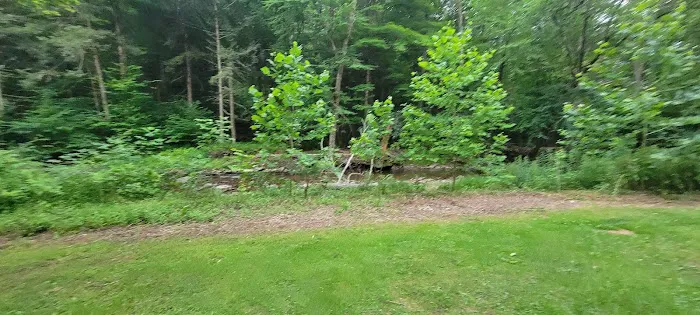 Hemlock Valley Campground Picture 1