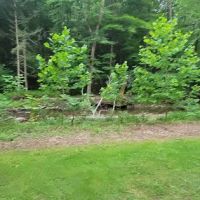 Hemlock Valley Campground ico