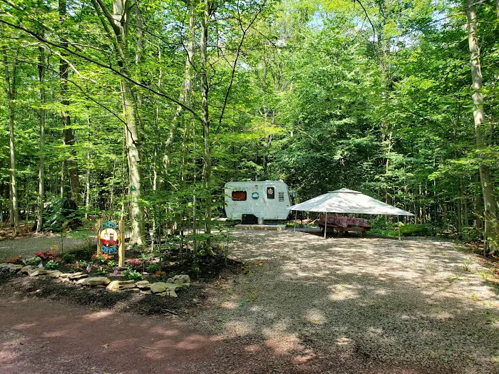 Pioneer Campground Picture 3