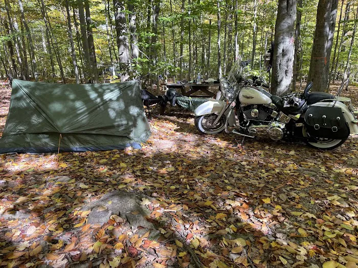 Pioneer Campground Picture 8