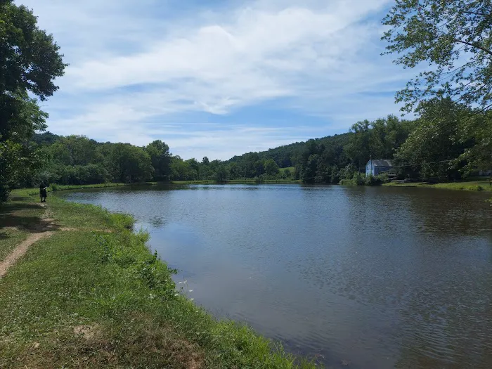 Camp Swatara Family Camp Picture 2