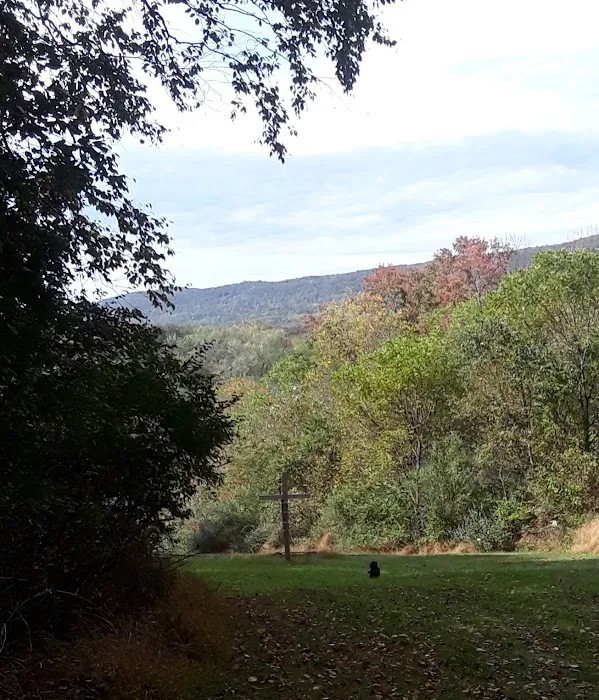 Camp Swatara Picture 5