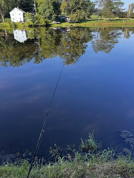 Camp Swatara Picture 8