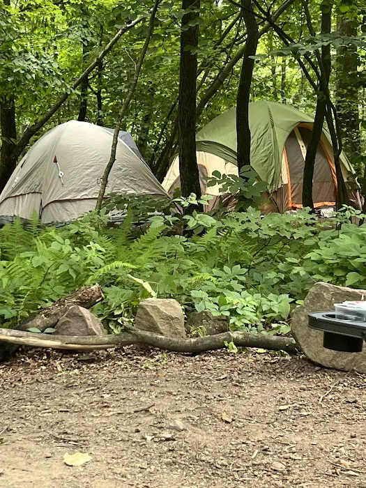 French Creek State Park Campground Picture 8