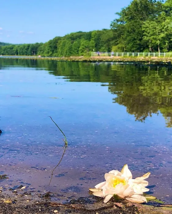 French Creek State Park Campground Picture 3