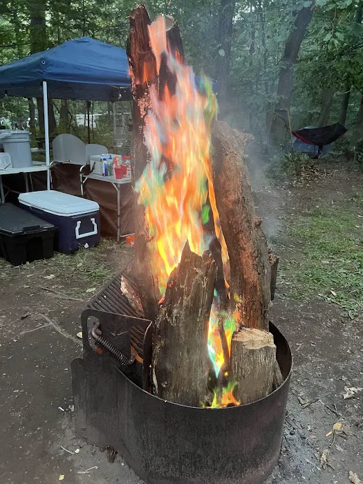 French Creek State Park Campground Picture 2