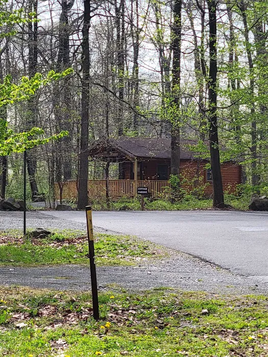 French Creek State Park Campground Picture 9