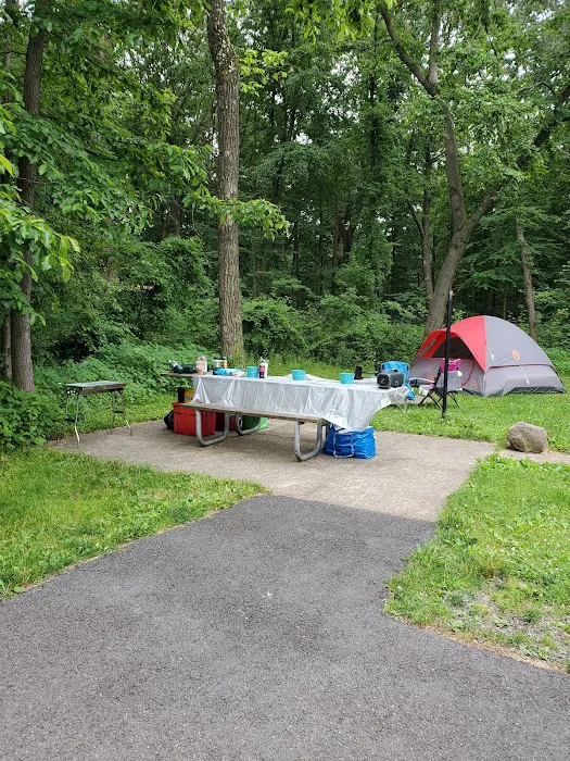 French Creek State Park Campground Picture 1