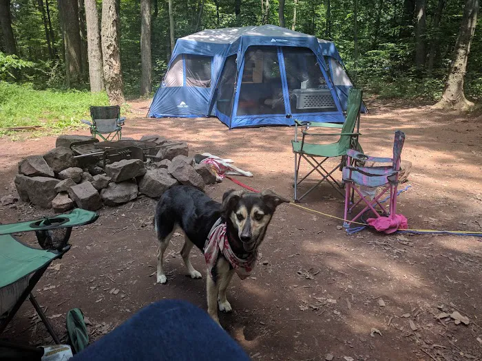 French Creek State Park Campground Loop C Picture 4