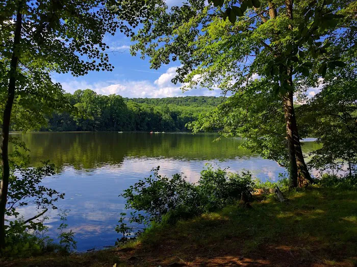 French Creek State Park Campground Loop C Picture 5