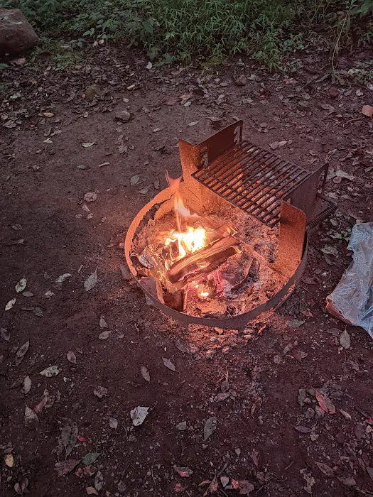 French Creek State Park Campground Loop A Picture 2